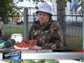 Почём урожай на «Зеленом рынке»?