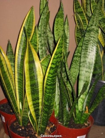 item6