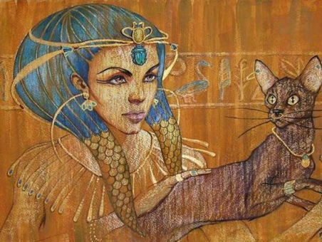 кошка.jpg